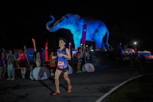 BIB: 
                            <button type="button" onclick="openModal(26551877)" class="btn btn-primary btn-sm float-right btn-popup" data-toggle="modal" data-target=".modal-high-quality">
                        <i class="fas fa-shopping-cart"></i> Add to Cart
                    </button>
                                            <button type="button" onclick="isThisMe(26551877, true)" class="btn btn-success btn-sm float-right btn-popup btn-isme hidden" data-toggle="tooltip" data-placement="bottom" title="นี่คือรูปของคุณใช่ไหม คลิกที่นี่เพื่อเอาเข้าอัลบั้ม">
                        <i class="fas fa-plus"></i> Add to album
                    </button>
                    <button type="button" onclick="isThisMe(26551877, false)" class="btn btn-warning btn-sm float-right btn-popup btn-isnotme hidden">
                        <i class="fas fa-ban"></i> Remove from album
                    </button>